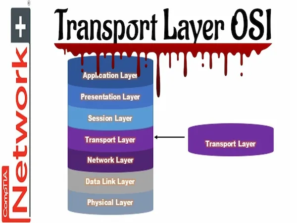 Transport layer