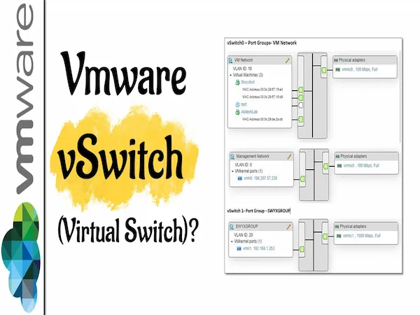 vSwitch (Virtual Switch)